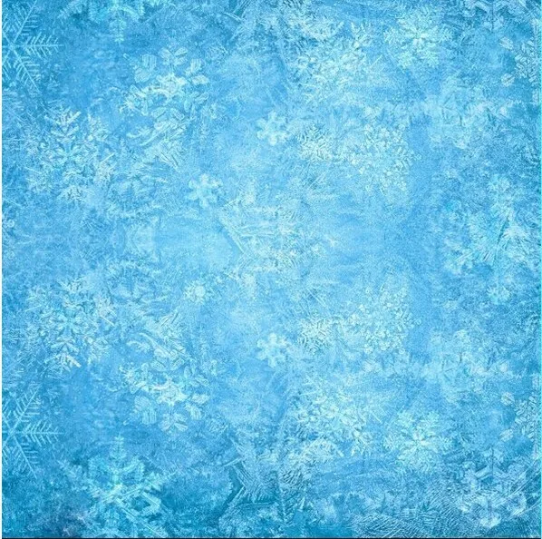 

8x8FT Frozen Blue Snowflakes Snow Flakes Winter Wonderland Custom Photography Backgrounds Studio Backdrops Vinyl 2.4x2.4m