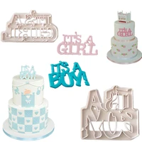 boys and girls cupcake biscuits muffin chocolates cake cream pastry plunger cookie cutter bread decorating kitchen baking tools