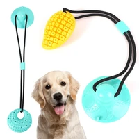 interactive suction cup dog chew toy self playing dog toy with elastic rope dog tooth cleaning chewing dog ball puppy supplies