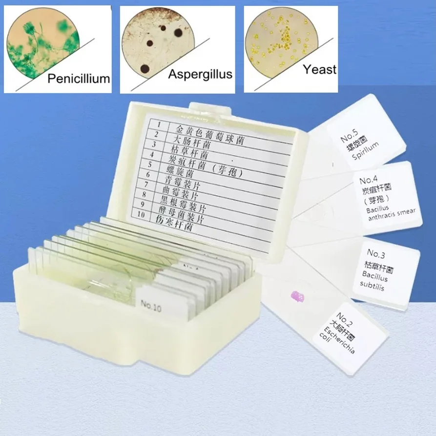 

10 шт., микроскопические слайды, образцы органических микроорганизмов