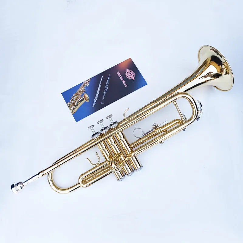 

French Trompeta Bb instrumentos musicales profesionales con Funda de cuero, latón plano plateado