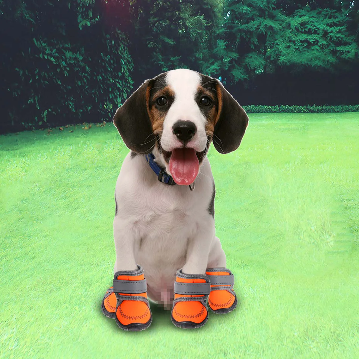 

Dog Boots Shoesdogs Winterpet Socks Booties Antilarge Rain Paw Snow Waterproof Puppy Protector Skid Non Santa Size Hardwood