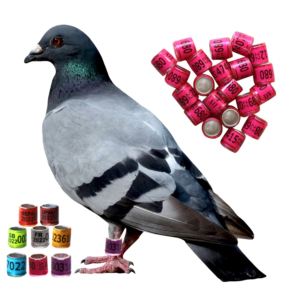 Aluminum Bird Parrots Foot Ring Pigeons With Numbered Outdoor Flight Training Tool Competition Identification Label |