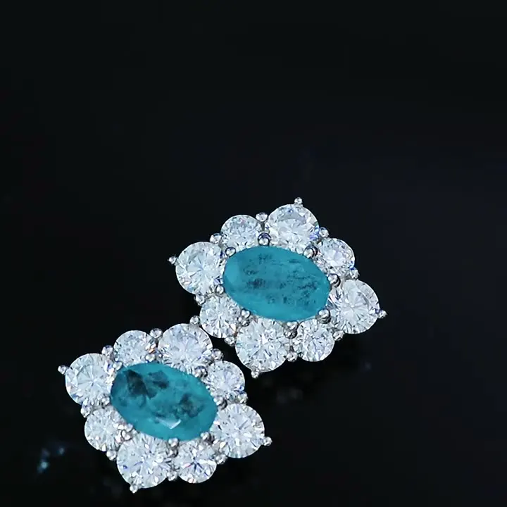 

The new S925 silver earrings personality temperament Paraiba egg-shaped 6*9 inlaid lake blue earrings