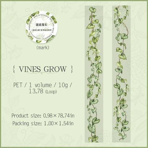 25mm*2m Pet Bantlar Bahçe Yolu DIY Scrapbooking Dekor Fotoğraf Albümü Kolaj Önemsiz Dergi Malzemeleri Estetik Çıkartmalar