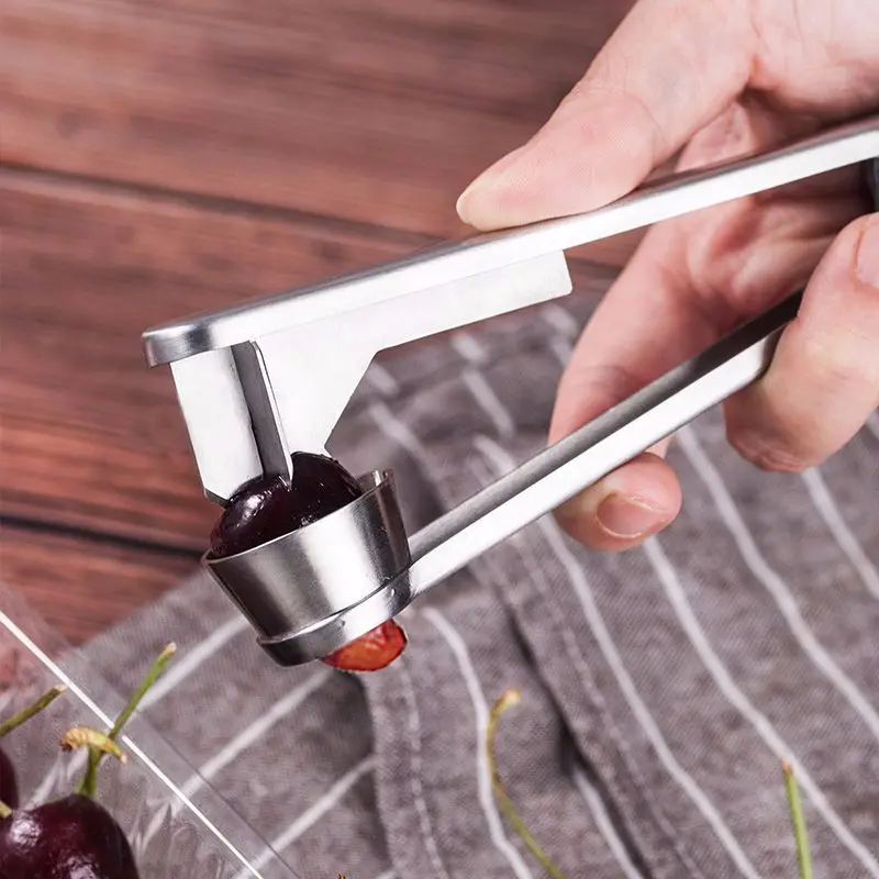 Stainless Steel Cherry Pitters Long Handle Fruit Corer Seed Remover For Jujube Hawthorn Fruit & Vegetable Tool Cherry Corer