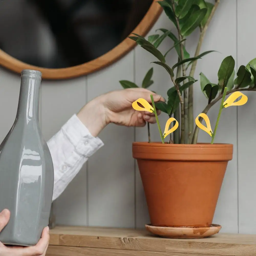 Ловушка для фруктов и мух липкая приманка комнатных растений водонепроницаемый