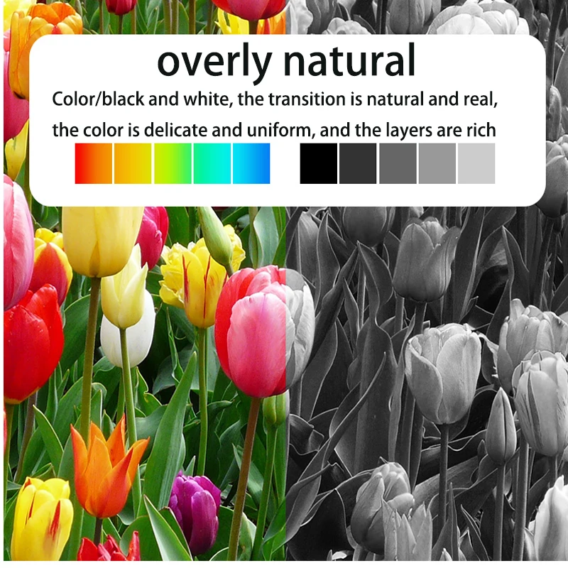 Совместимый картридж для принтера Epson T2661 T2670 T266 266 T267