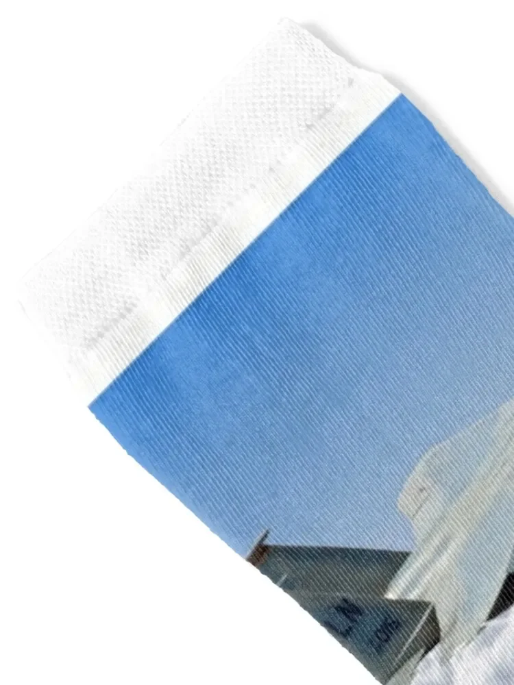 Northrop Grumman B-2 Spirit Stealth Bomber - RIAT 2017 носки crazy детские для девочек и мужчин