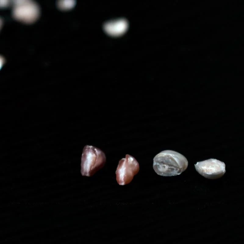 Сломанное серебряное ожерелье из натурального жемчуга действительно многие