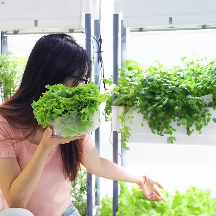 Вертикальные микрозелени для садоводства в помещении овощи фрукты