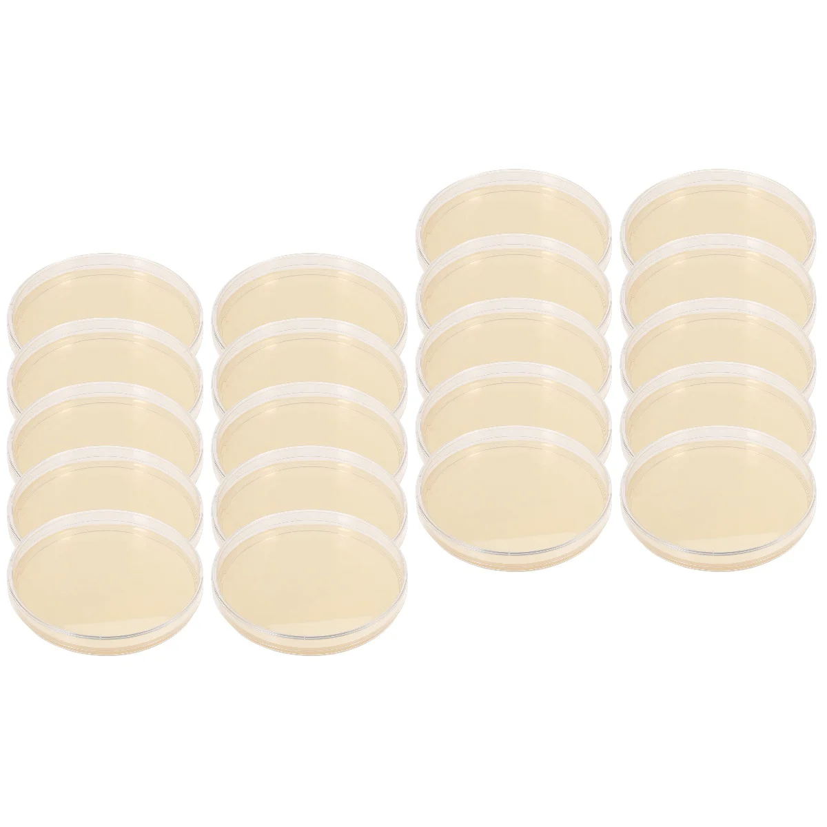 

20 Pcs Nutrient Agar Plate Plates Experiment Prepoured Petri Dishes Experimental Supplies Chemical laboratory
