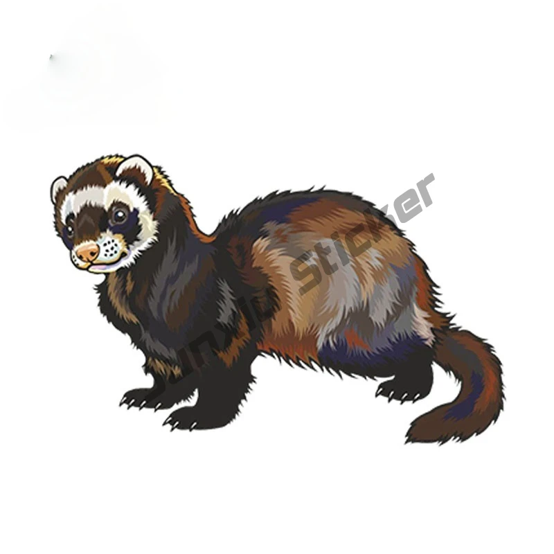 

Car Sticker Cartoon Ferret Vinyl Sticker Laptop Travel Luggage Decal Waterproof Car Styling Cover scratches Decoration PVC13x7cm
