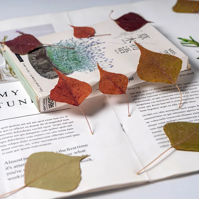 

60 шт., искусственные листья, цветок, гербарий, рукоделие, карточка, закладки, рамка, фотолампа для макияжа