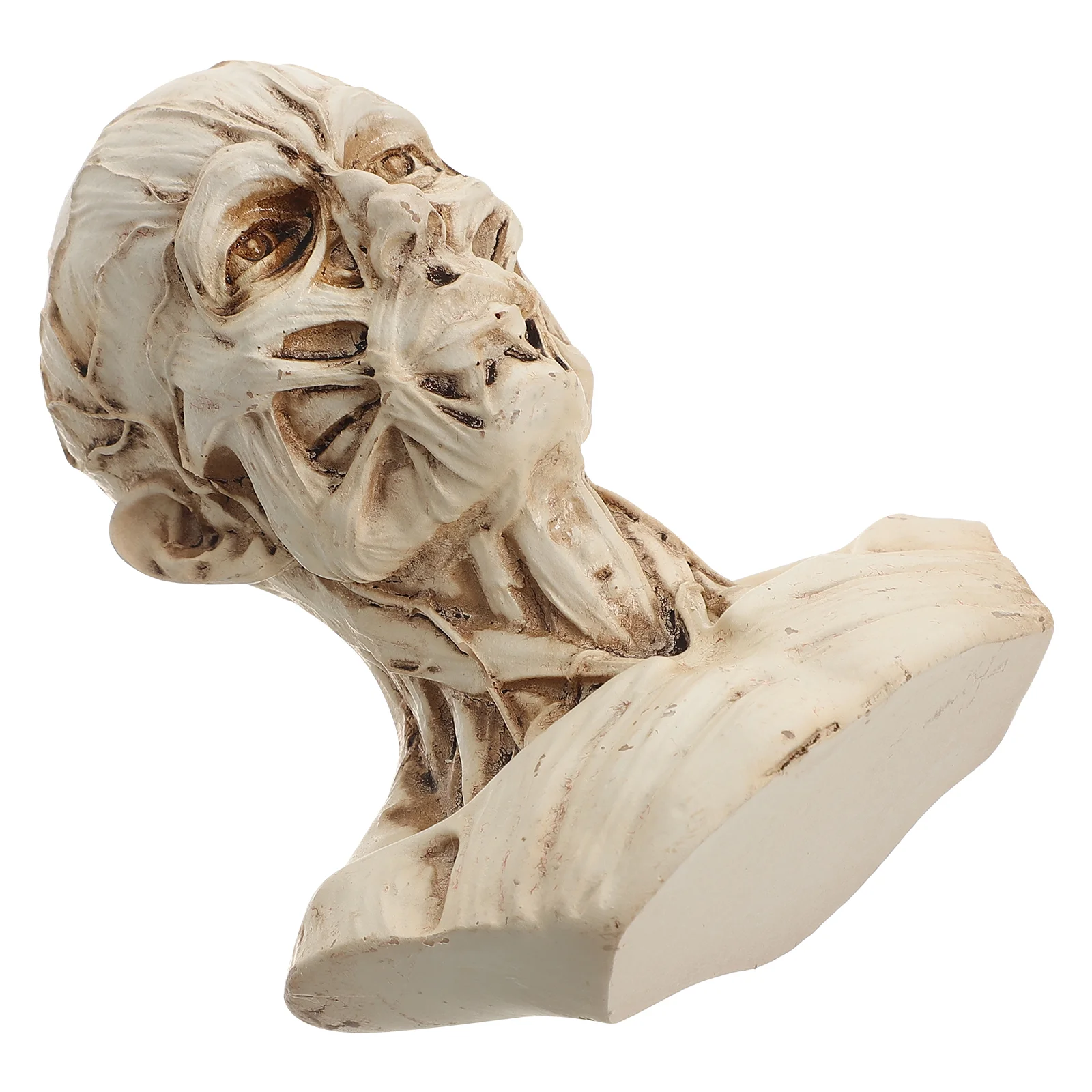 Эскиз Статуя Череп Голова Ремесленные Модели Манекен Живопись Человеческий