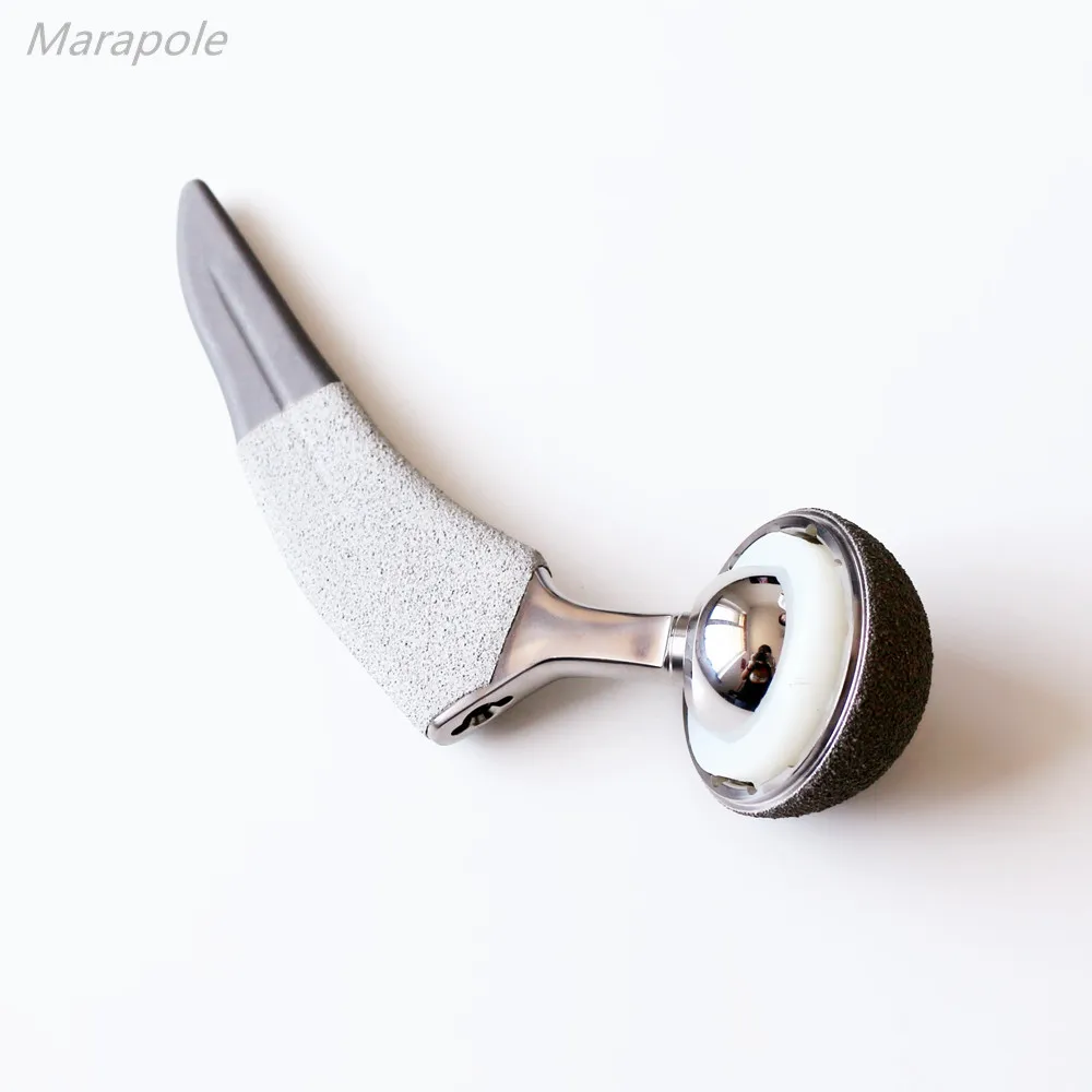 

Cemented Femoral Stem, Hip and knee Joint Replacement, high nitrogen stainless steel cemented total hip replacement