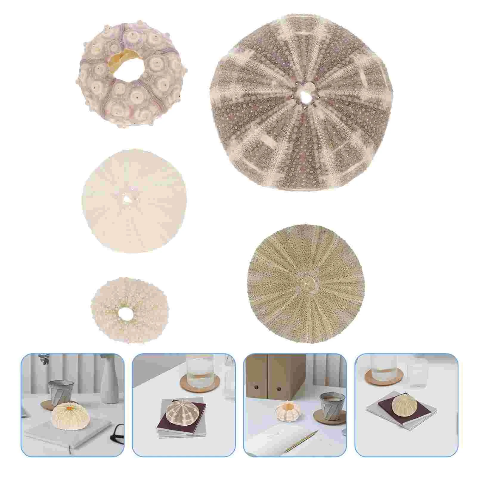 

Sea Urchin Crafts Aquarium Diy Decors Shell Oceanic Seaside Flower Centerpiece Decor Ocean Decorations Favors Ornaments Marine