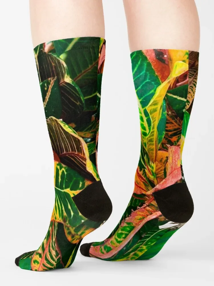 Экзотические носки с зелеными желтыми красными листьями кротонами растениями