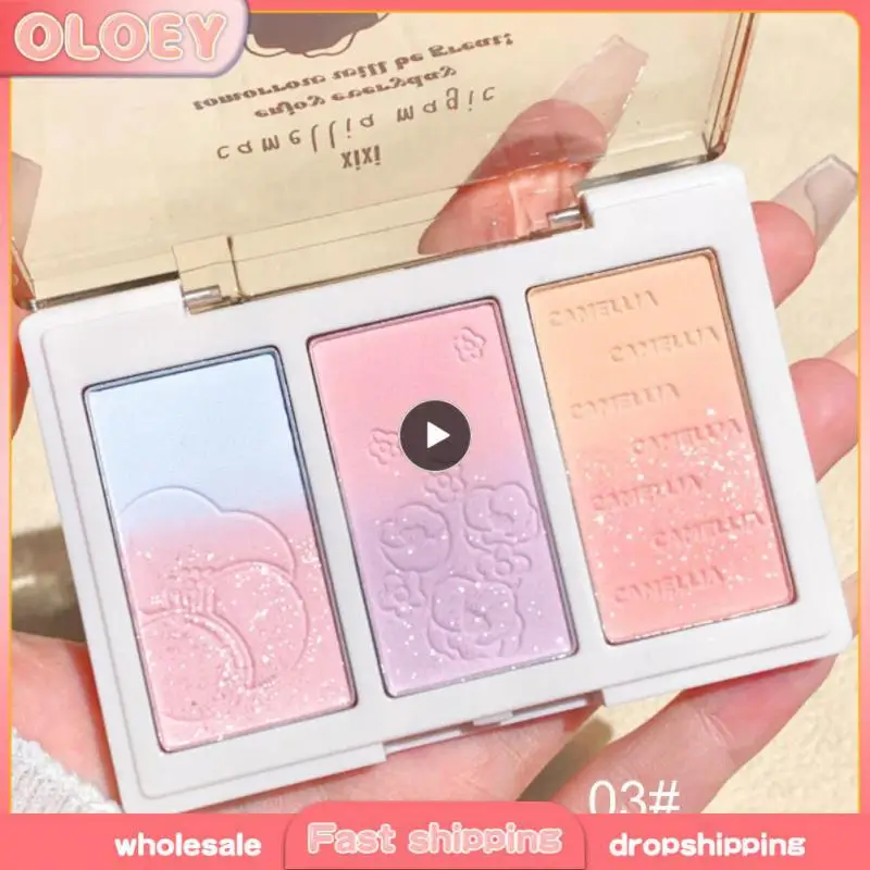 

3 Color Concealer Powder Palette Blush Contouring Brightening Bronzers Nose Shadow Highlighters face makeup Cosmetics TSLM1