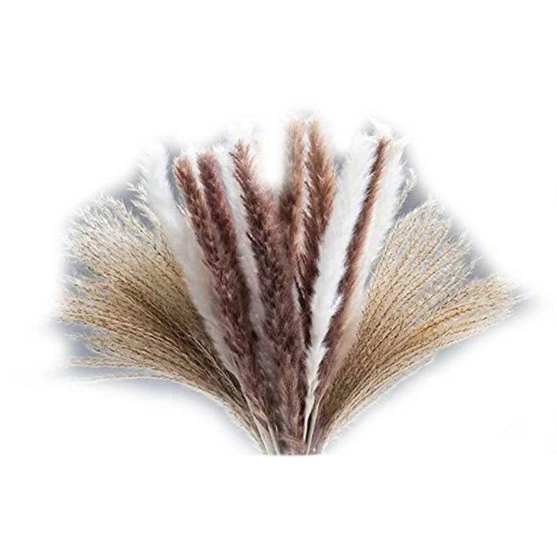 

55Pcs Dried Pampas Grass For Boho Decoration,Natural Fluffy Grass Plant Reed Flower Stem Bunch Wedding Living Room Decor