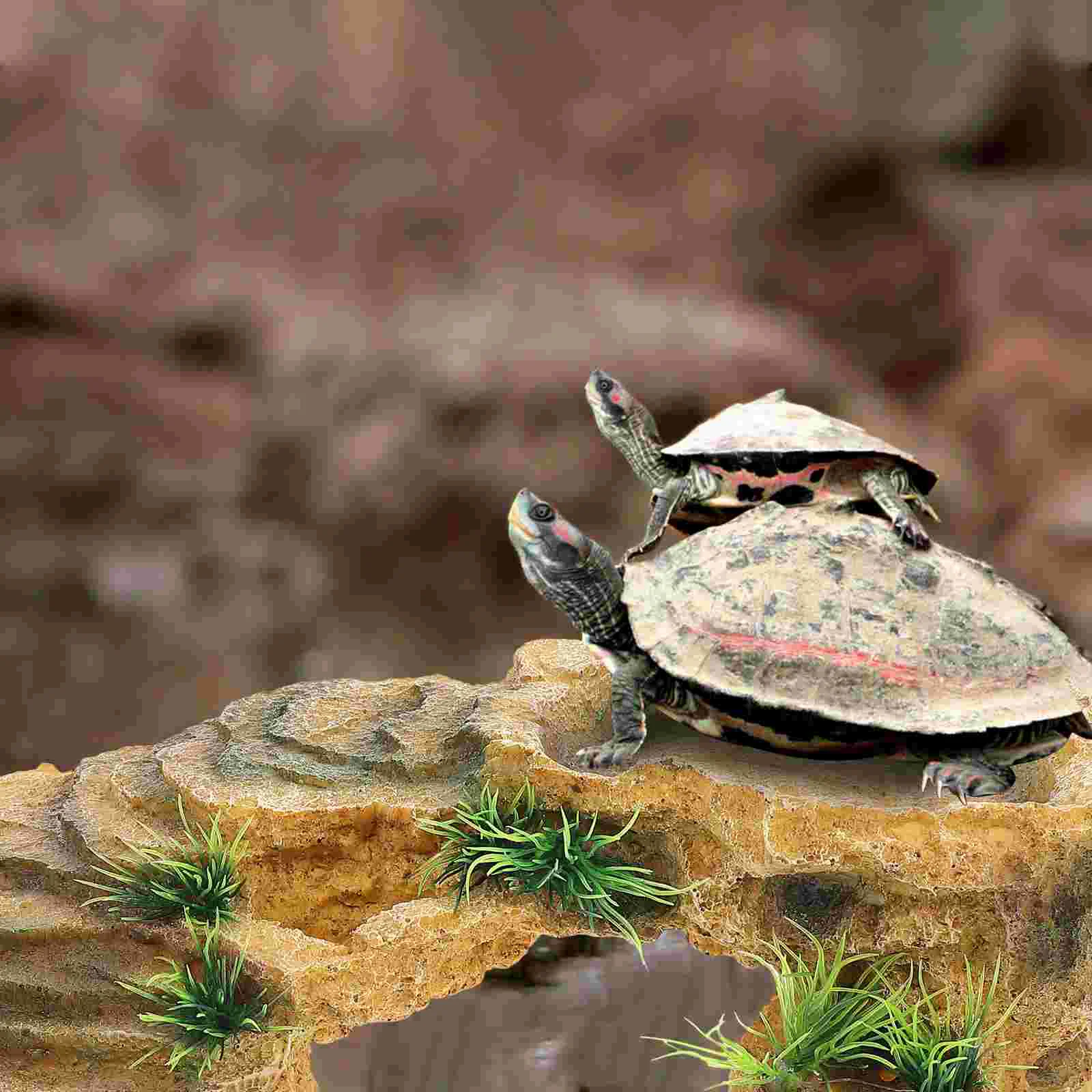 Ящерица черепаха терраса скрывающее укрытие аквариум украшение в виде рыбы хаки