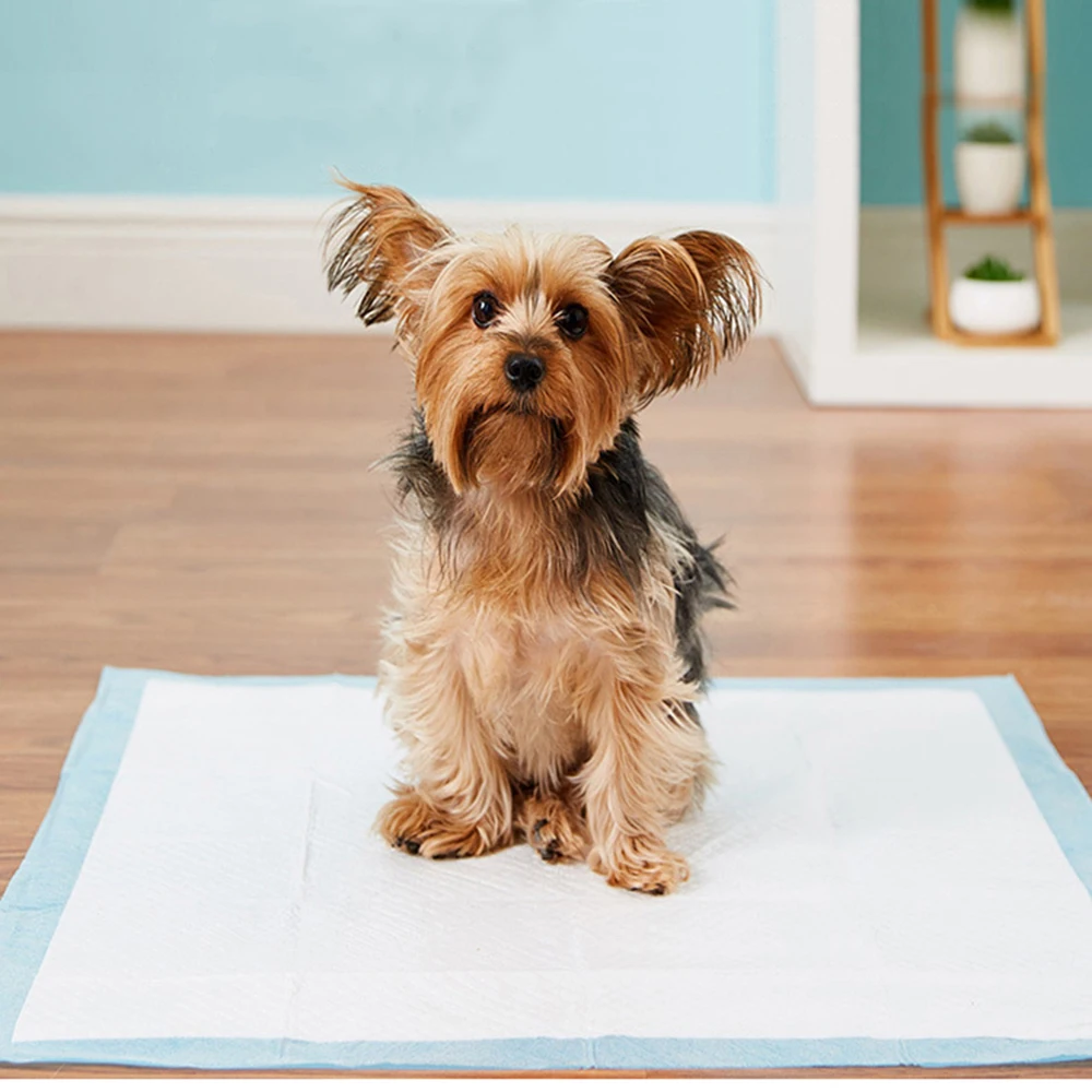 

20/40/50/100pcs Pet Diapers Disposable Pads Super Absorbent Quick-dry Dog Diaper Dog Training Diaper Cage Mats Healthy Nappy Mat