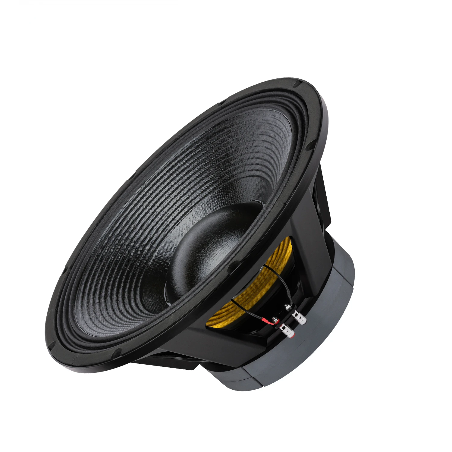21-дюймовый сабвуфер с двойными магнитами 4200 Вт Профессиональный питанием