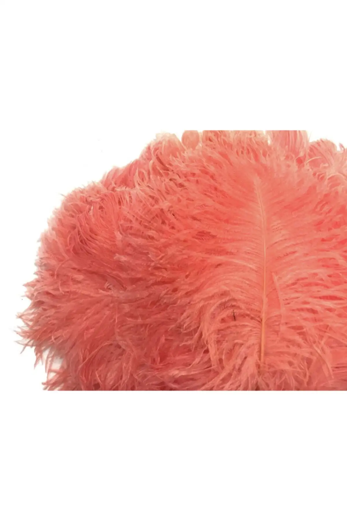 

100 pcs Salmon Bird Feather 1 5x2 Sslemelik wedding bride mariage henna