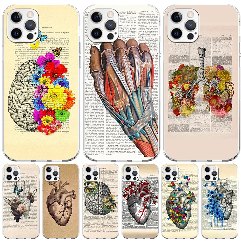 

Medical Human Organs Brain Meridian Kidney Case for iPhone 14 Plus 13 12 Mini 11 Pro Max XR XS 7 8 X 6 6s Plus Clear Phone Cover