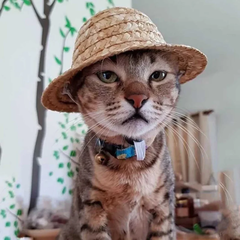 

Hawaiian Party Cat Hat Vintage Adjustable Strap Fashion Straw Sun Hat Pet Hats Pet Costume for Cat Dog Pet Clothing Accessories