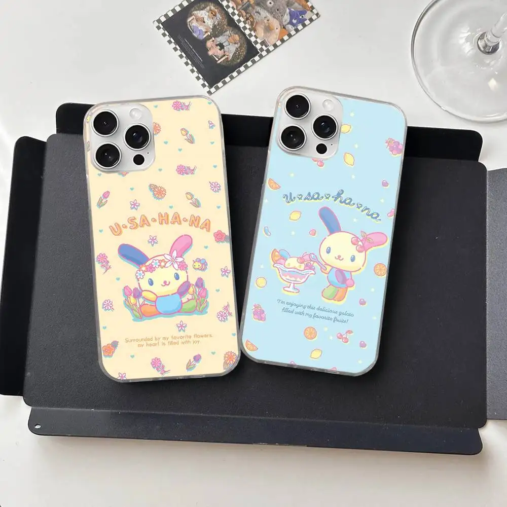 Чехол для телефона Rainbow Bunny USA HaNaS для iPhone 11 12 13 14 15 16 17 Plus Pro Max, сатиновый, глянцевый, с лазерной обработкой (art.: 3920dc06bfb4b) - 3920dc06bfb4b