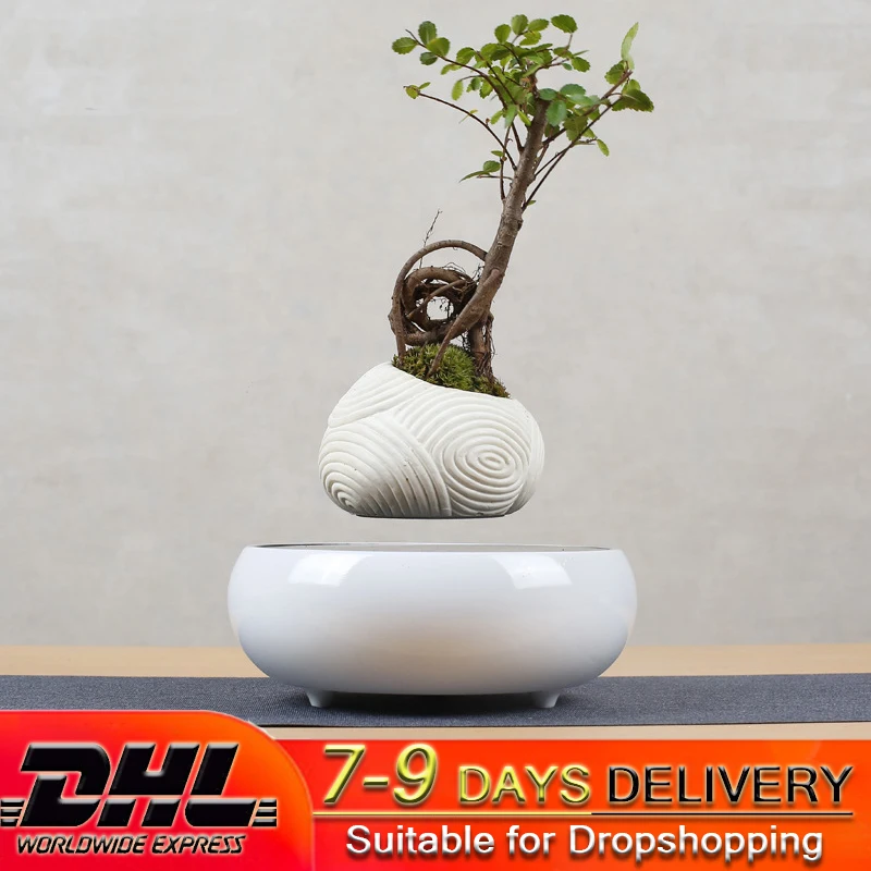 Creative Gift Magnetic Resin Flower Pot Levitation Potted Plants Suspended Aerial Decoration Wholesale Factory Dropshopping DHL