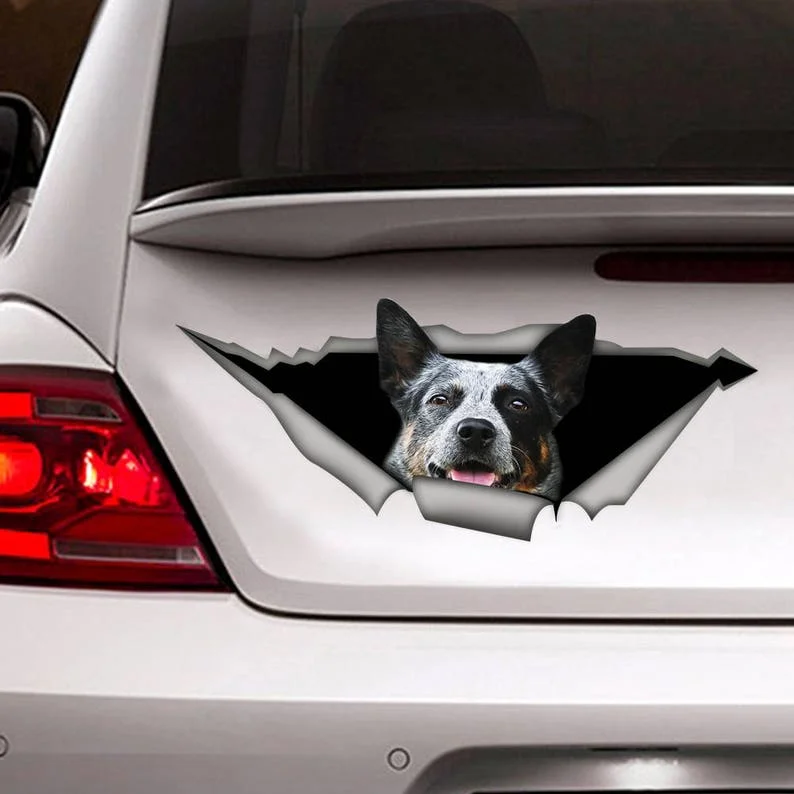 

Blue Heeler car decal, Vinyl decal, car decoration, funny decal