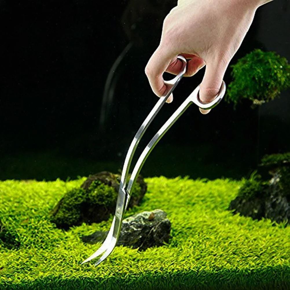 Stainless Steel Scissors 9.8' Aquarium Straight Curved Wave Scissor Aquatic Fish Tank Saltwater Freshwater Planted Cleaning Tool |