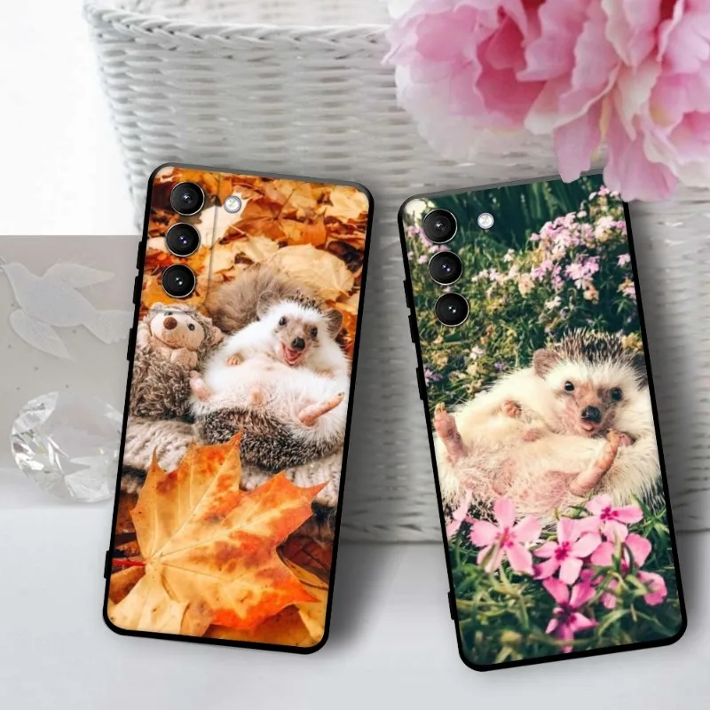 

Kawaii Hedgehog Cute Phone Case For Samsung Galaxy S20 S21 FE S22 S10 Ultra S9 S8 Samsung Note 20 10 Lite Phone Funda