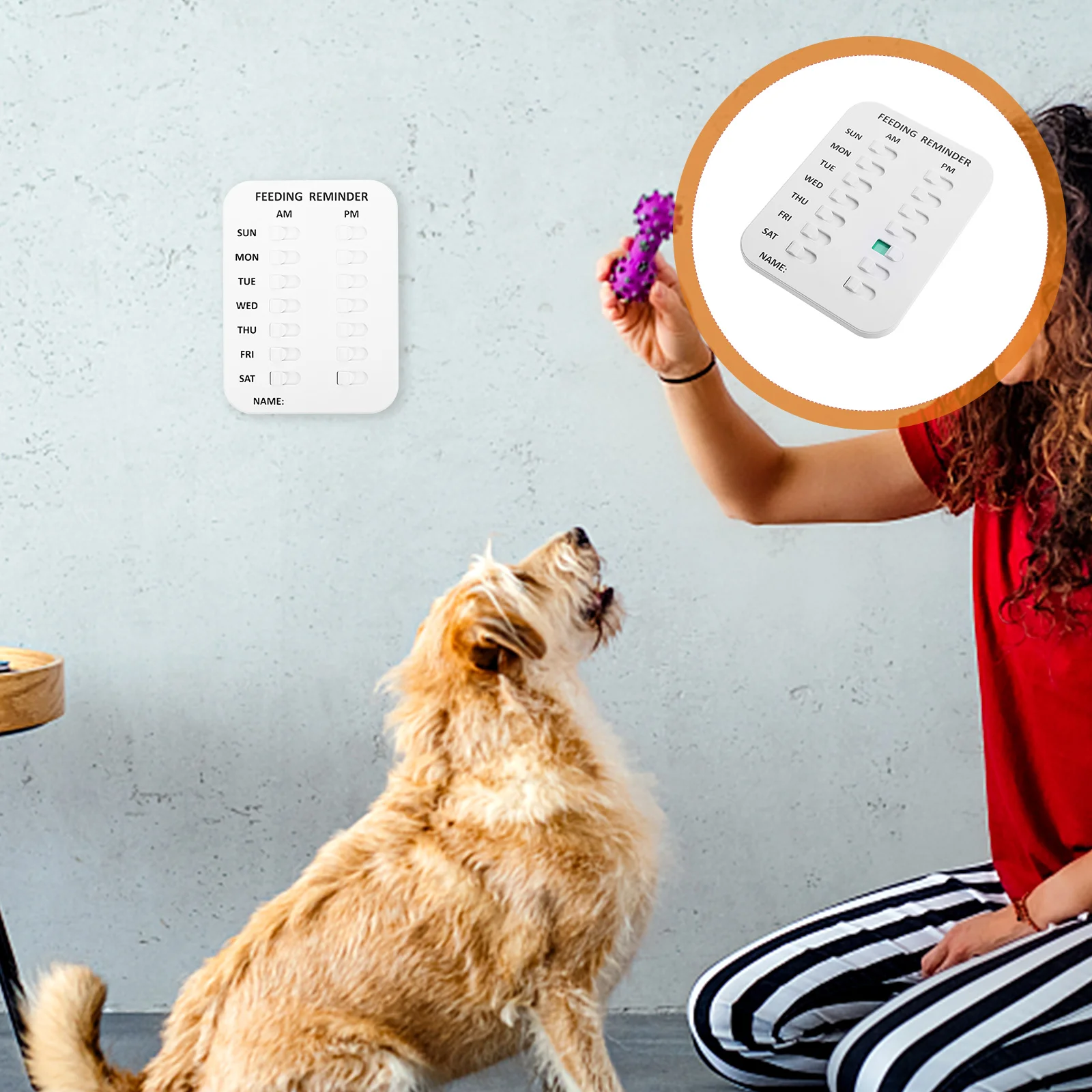 

Feeding Reminder Dog Accessory Stroller Accessories Chart Convenient Portable Abs Pet Professional Food Tools