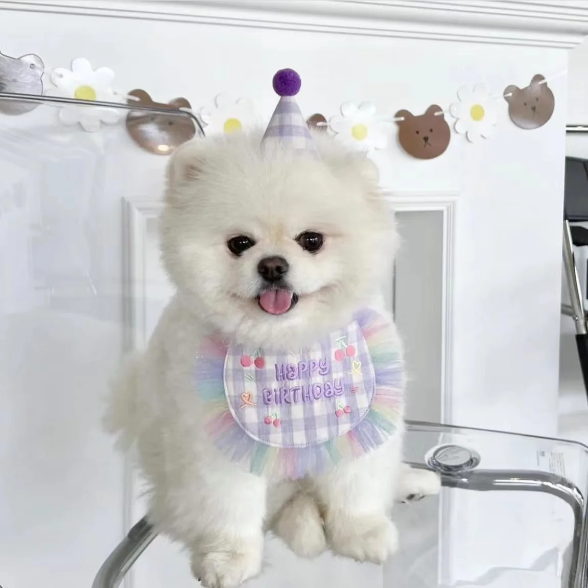

INS Cute Birthday Embroidery Dog Bib Pet Cat Dog Bib Saliva Towel Cute Lace Triangle Scarf Dog Pet Products Puppy Accessories