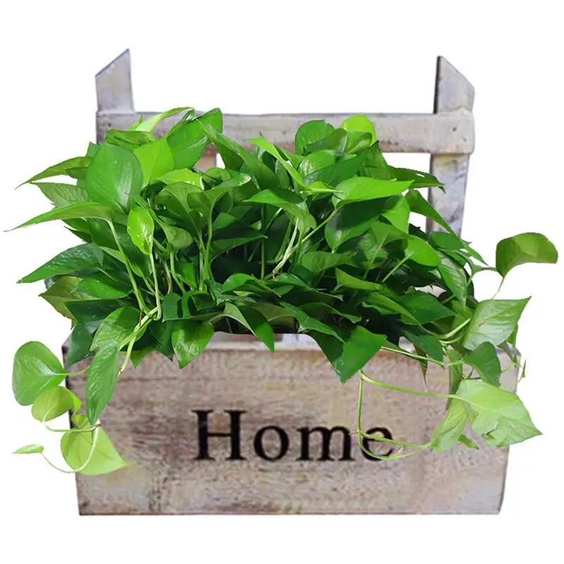 

Wood Planter Box Wall Hanging Wood Planter Boxes Garden Plant Flower Pot Desktop Decorative Yard MicroLandscap Flower Vintage