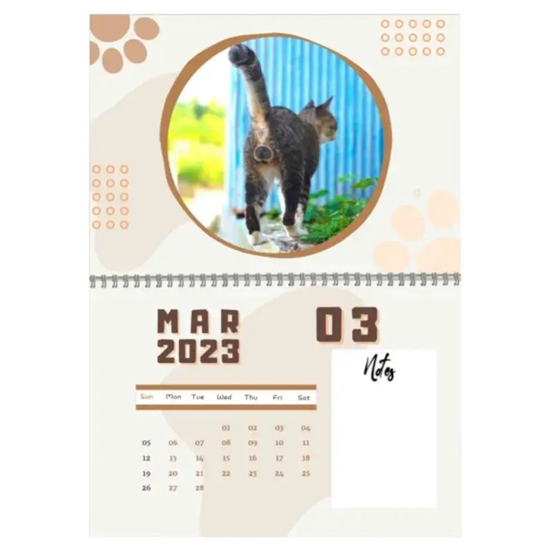 

Cat Butthole Calendar 2023 Funny Calendar For Wall 12 Months Calendar Gift For Cat Lovers Men Women Kids Teens Friends Coworkers