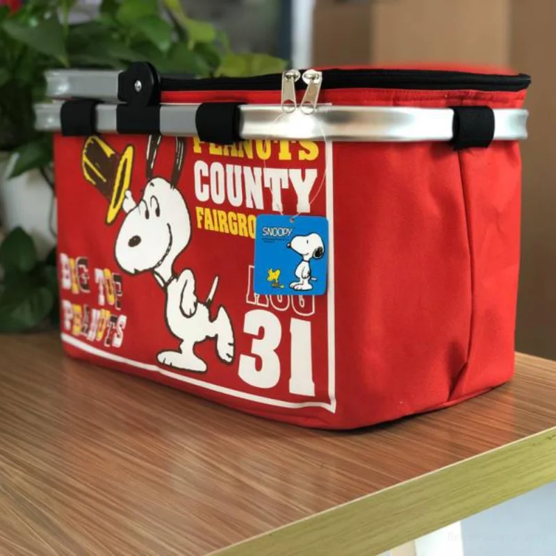 Рисунок 4 - Автомобильная коробка Snoopy