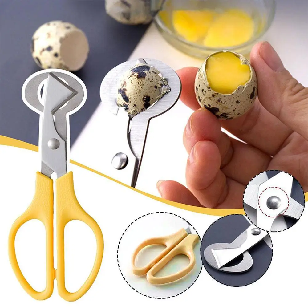 

Household Egg Scissors Stainless Steel Quail Egg Scissor Egg Tools Kitchen Creative Opener Open Accessories Q0N7