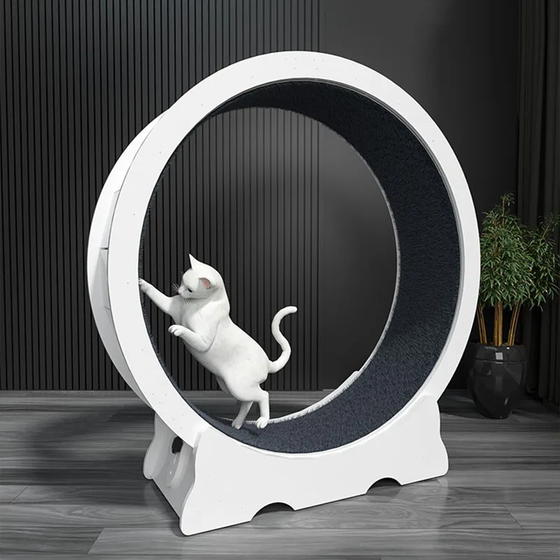 Funny Pet Treadmill,Cat Toys,Interactive Training,Big Wheel,Scratch Board,Games Park,Tunnels Cave,Cat's Accessories,Gift