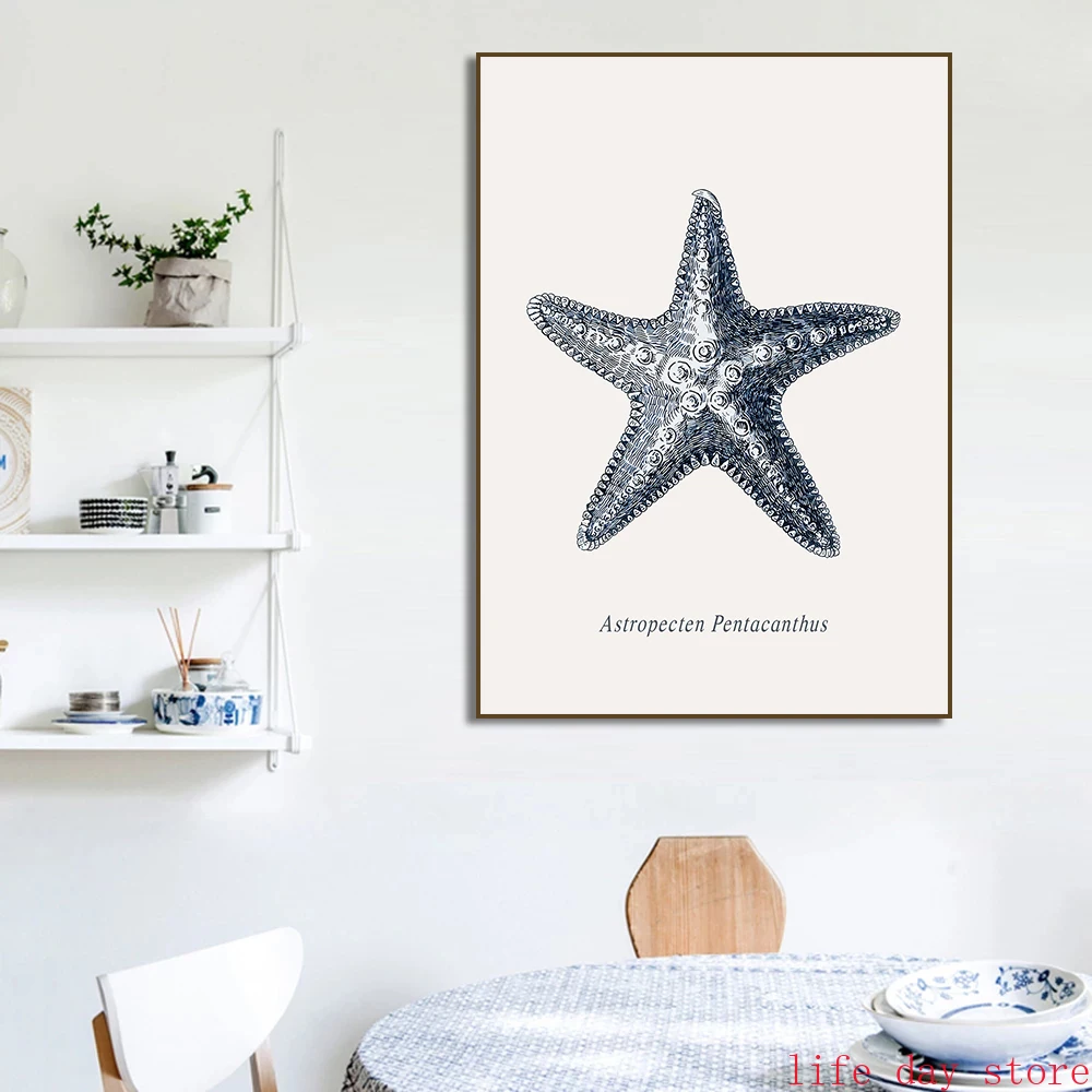 Постеры на холсте с морскими ракушками и