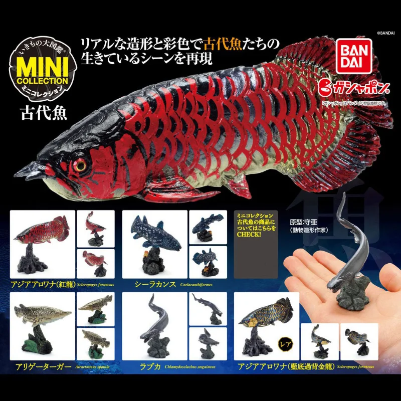

Gashapon Capsule Toy Large Biological Map of Ancient Sea Fish Gacha Model Fiugre Table Ornaments Kids Gifts