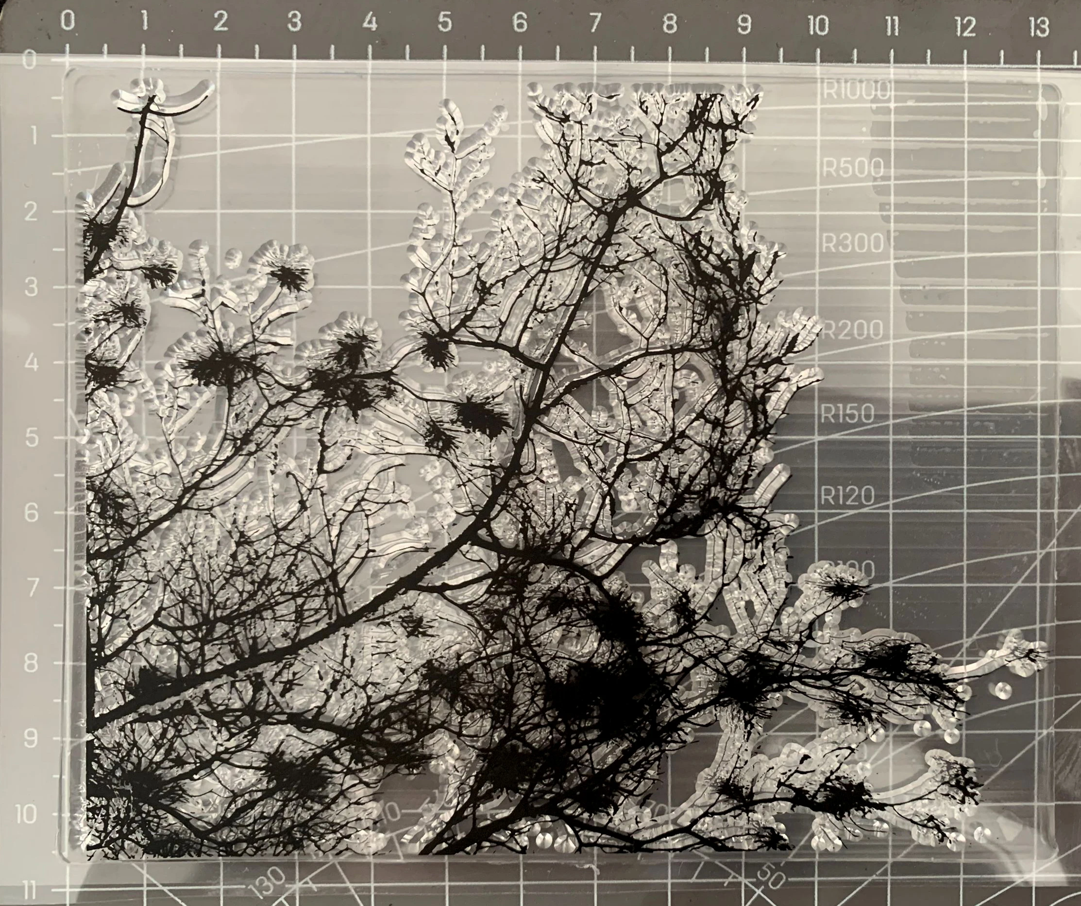 

Прозрачные силиконовые ветви оформления фотоальбома «сделай сам»