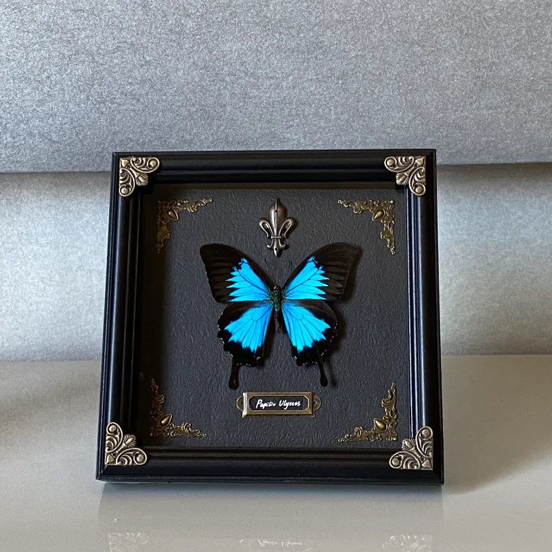 Custom Butterfly Specimen Paradise Papilio True Butterfly Natural Dark Metal Gothic Style Home Decoration PhotoFrame Custom Gift