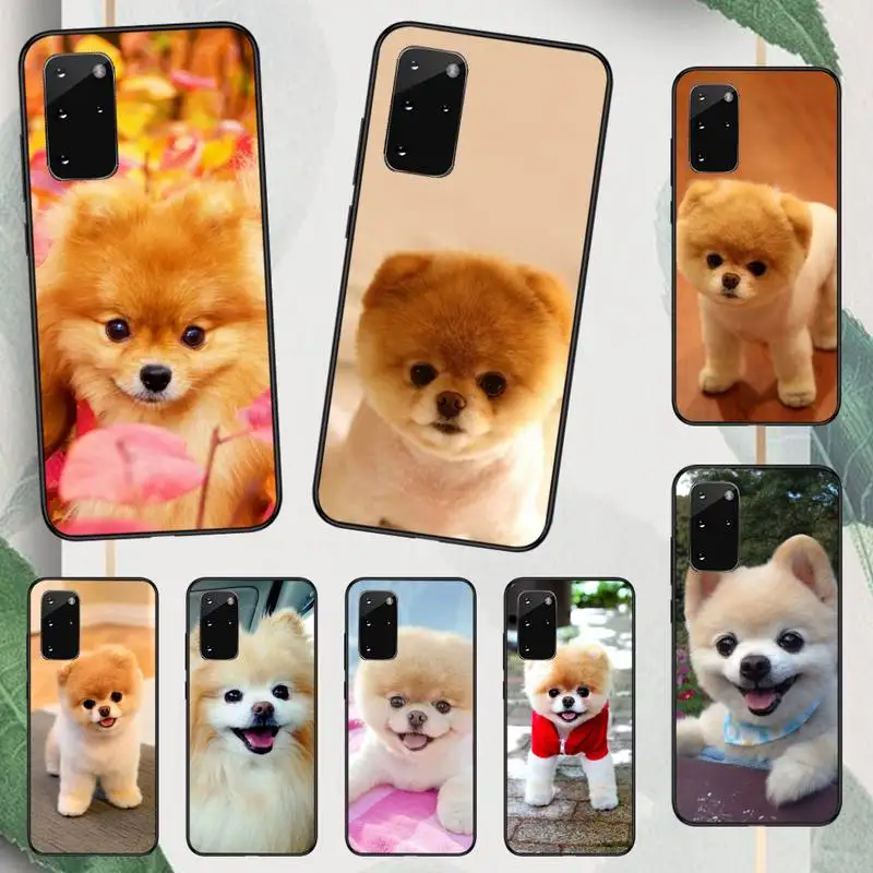 

Hiromi cute dog Phone Case For Samsung galaxy A S note 22 52 21 20 53 51 71 12 13 10 32 50 fe s ultra plus