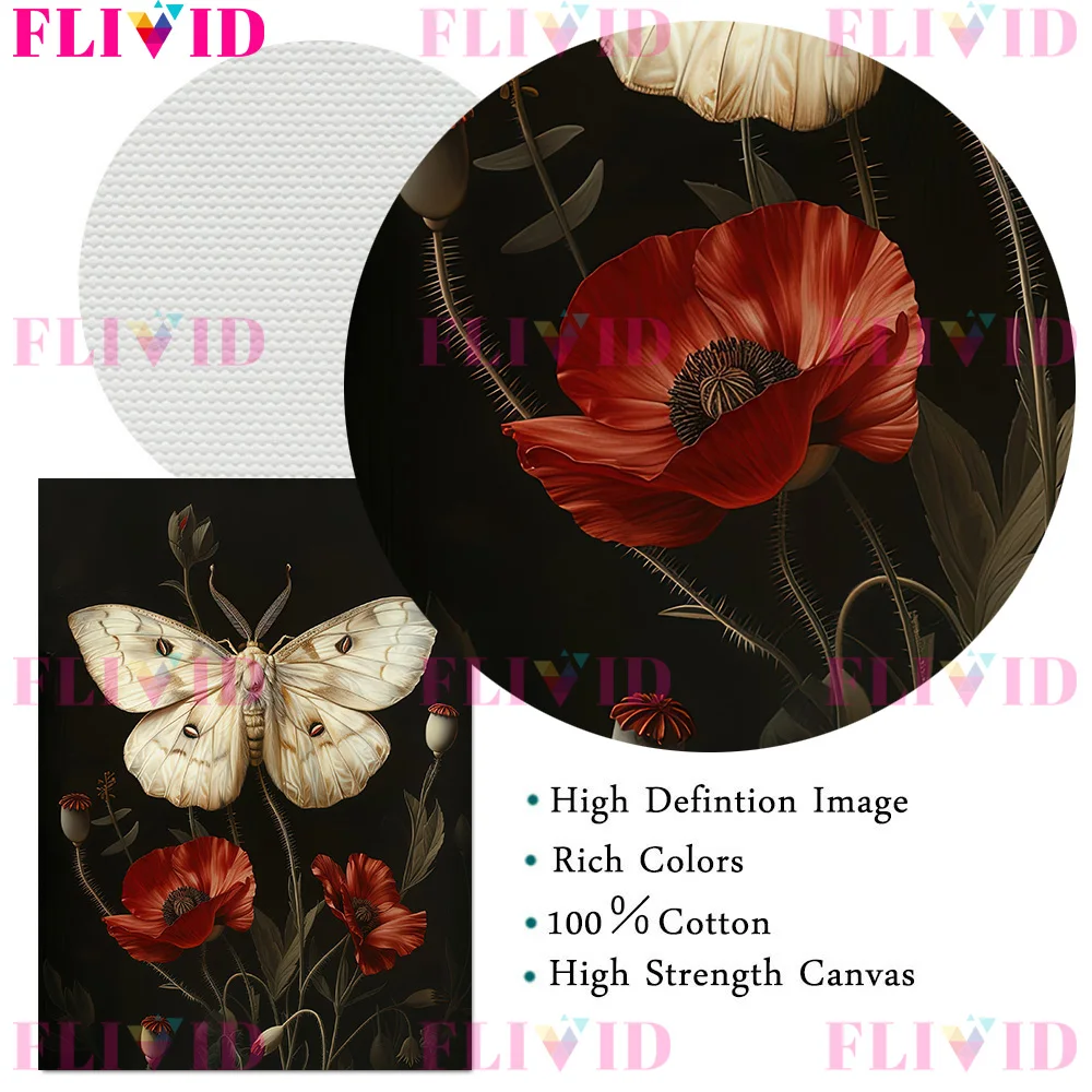 Картина маслом в античном стиле темной академии скелет-библиотека моль белки