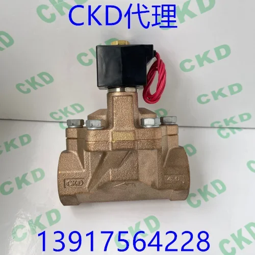 Фото Полностью разборный паровой электромагнитный клапан 2026 AP11-15A/20A-C2C-AC220V №2