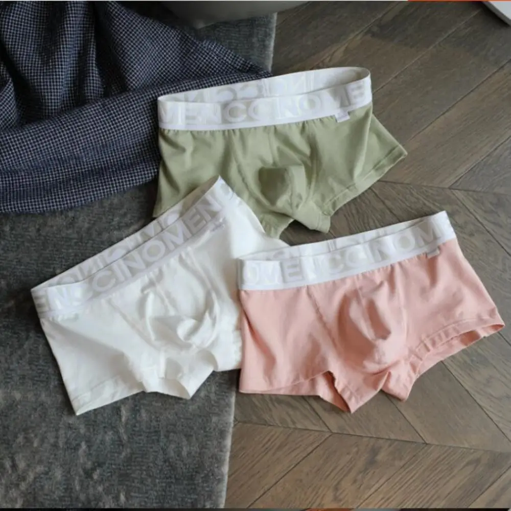 Рисунок 2 - Японские спортивные шорты-боксеры